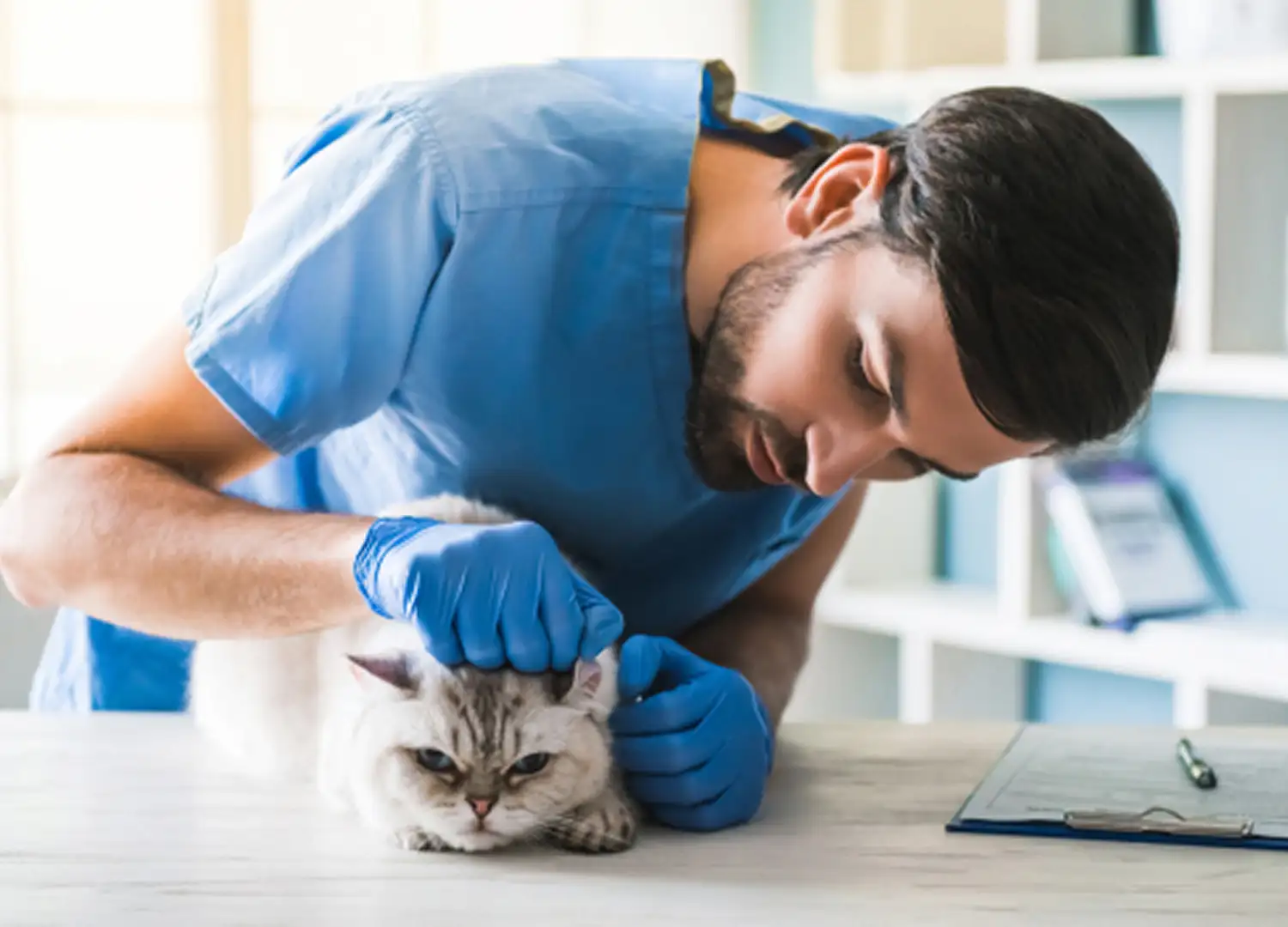 pets-and-pet-care-55